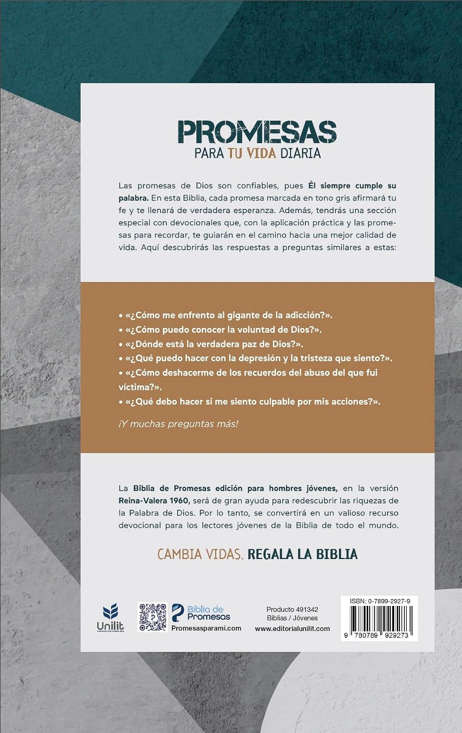 RV60: BIBLIA DE PROMESAS PARA HOMBRES JOVENES