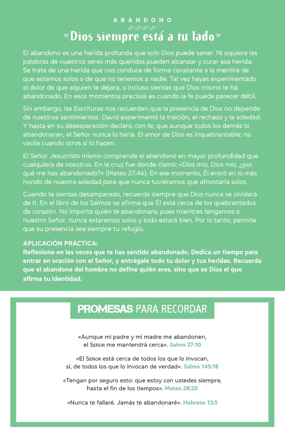 NTV: BIBLIA PROMESAS PARA JOVENES