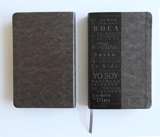 RVR60: SANTA BIBLA LETRA GRANDE