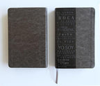 RVR60: SANTA BIBLA LETRA GRANDE