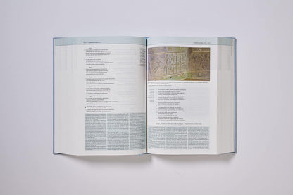 NVI: BIBLIA DE ESTUDIO TEOLOGÍA BÍBLICA