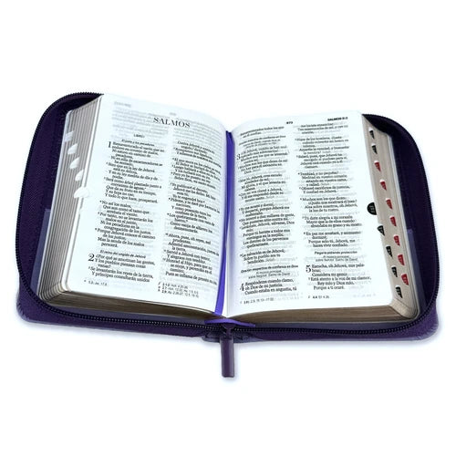 RVR60: BIBLIA DE BOLSILLO