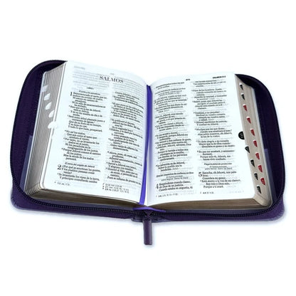 RVR60: BIBLIA DE BOLSILLO