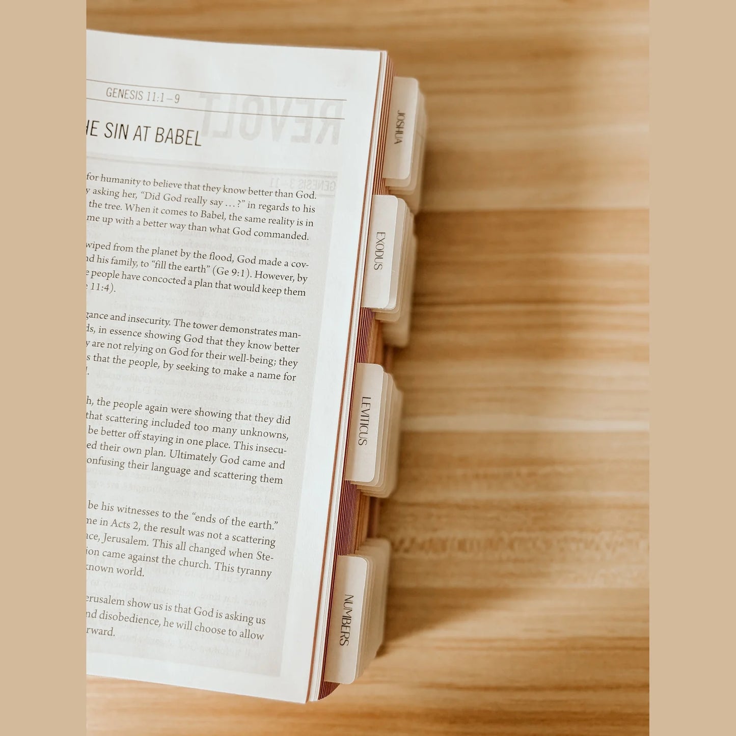 MR. PEN: DE BIBLE JURNALING DE ESTER