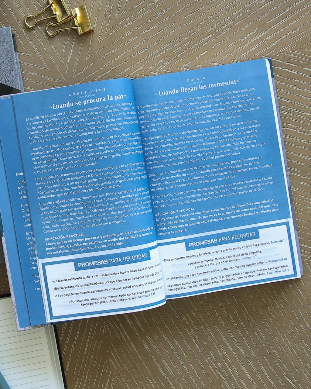 RV60: BIBLIA DE PROMESAS PARA HOMBRES JOVENES