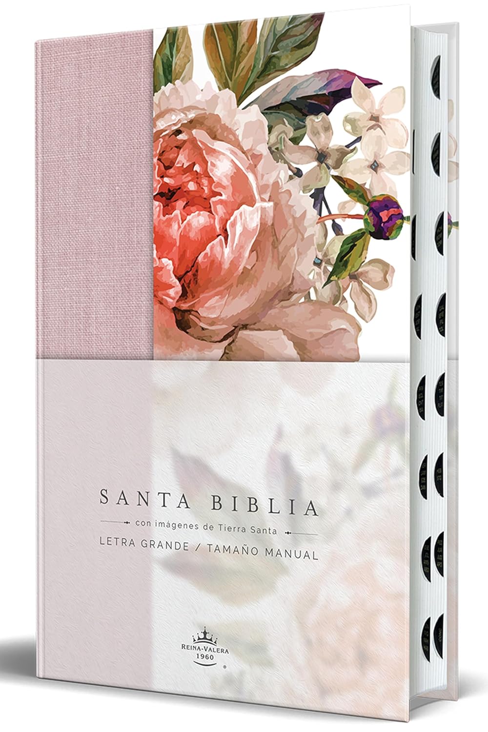 RVR60:SANTA BIBLIA
