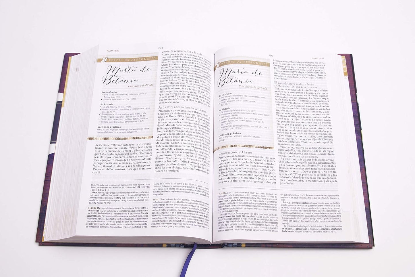 RVR60: BIBLIA DE ESTUDIO PARA MUJERES
