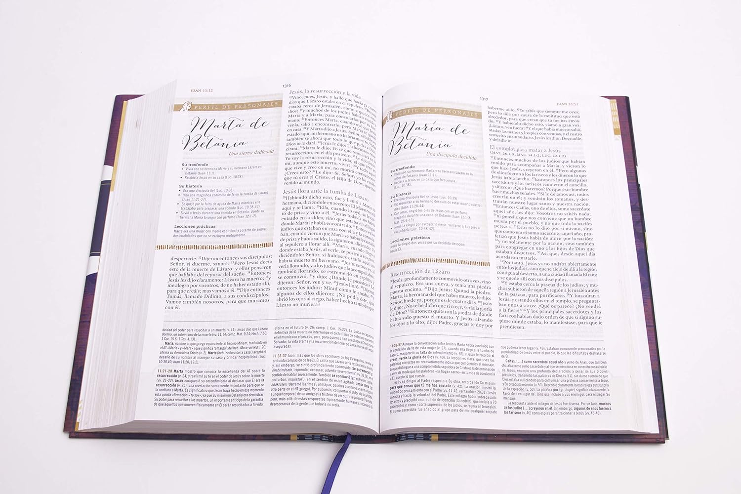 RVR60: BIBLIA DE ESTUDIO PARA MUJERES