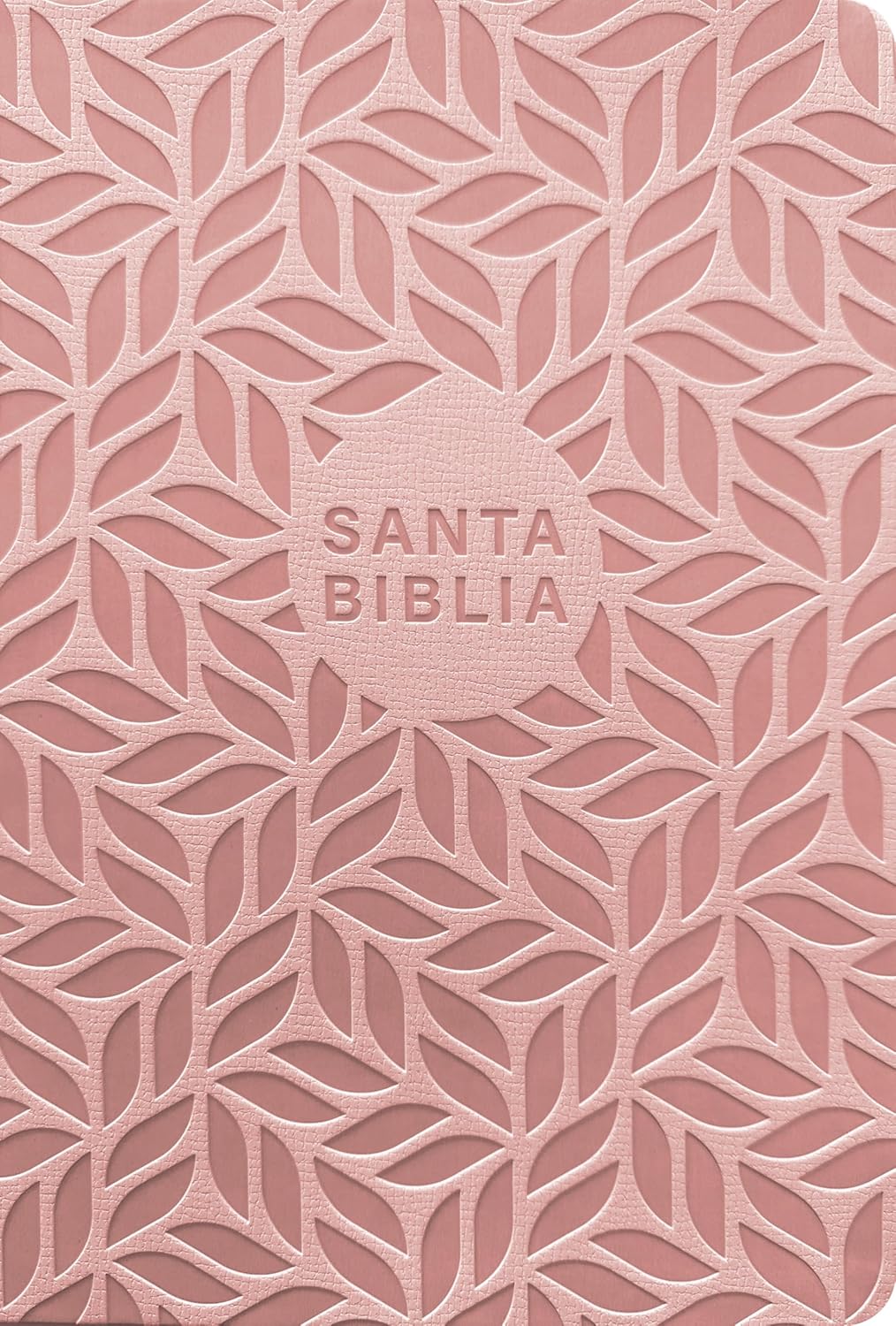 NTV: SANTA BIBLIA