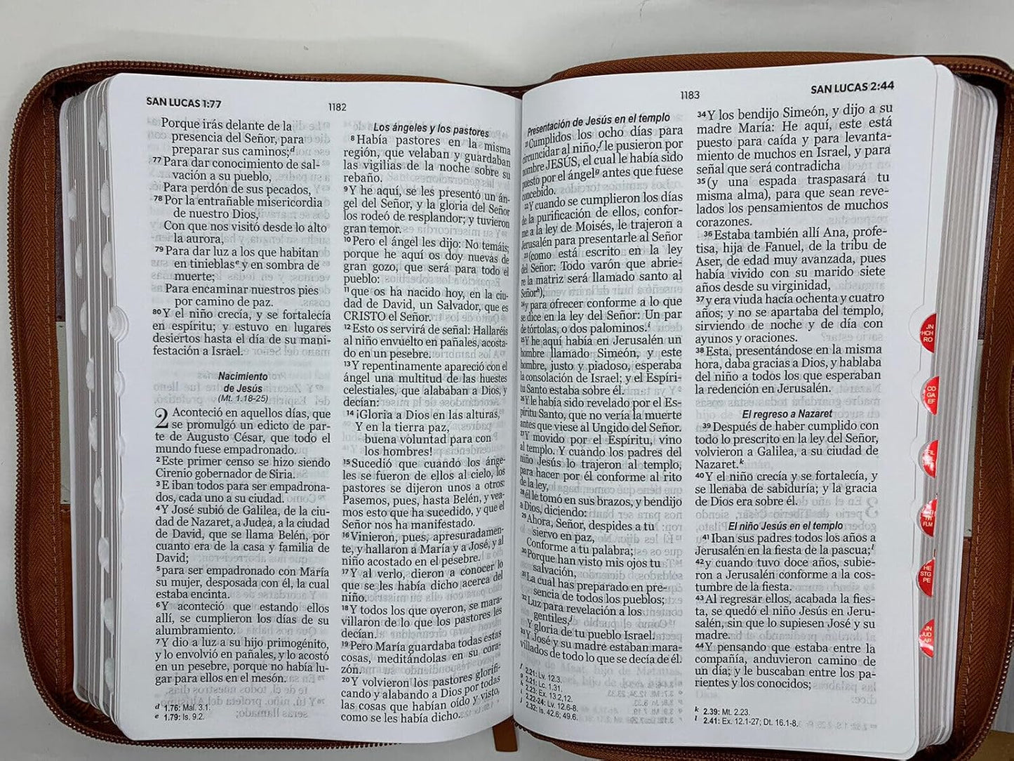 RVR60: SANTA BIBLIA