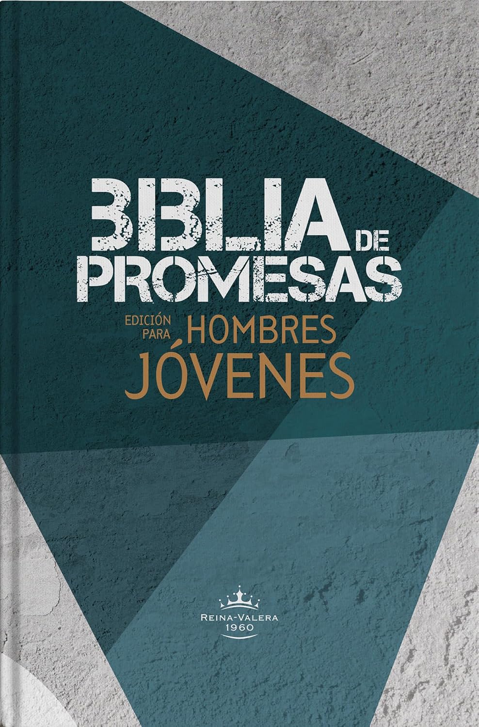 RV60: BIBLIA DE PROMESAS PARA HOMBRES JOVENES