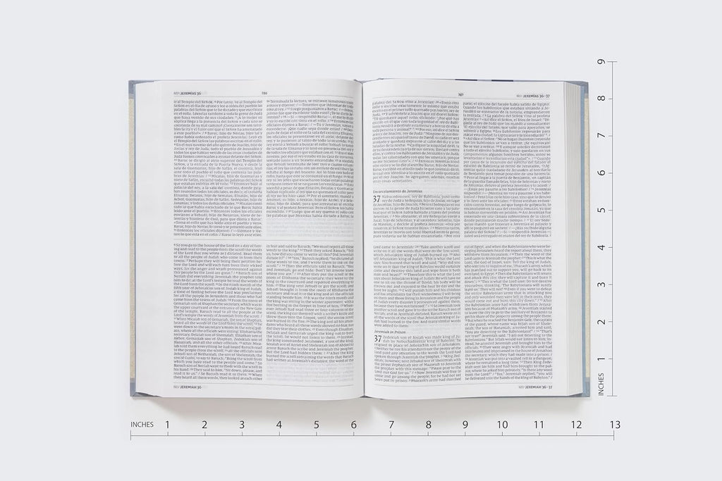 NVI: BIBLIA BILINGUE