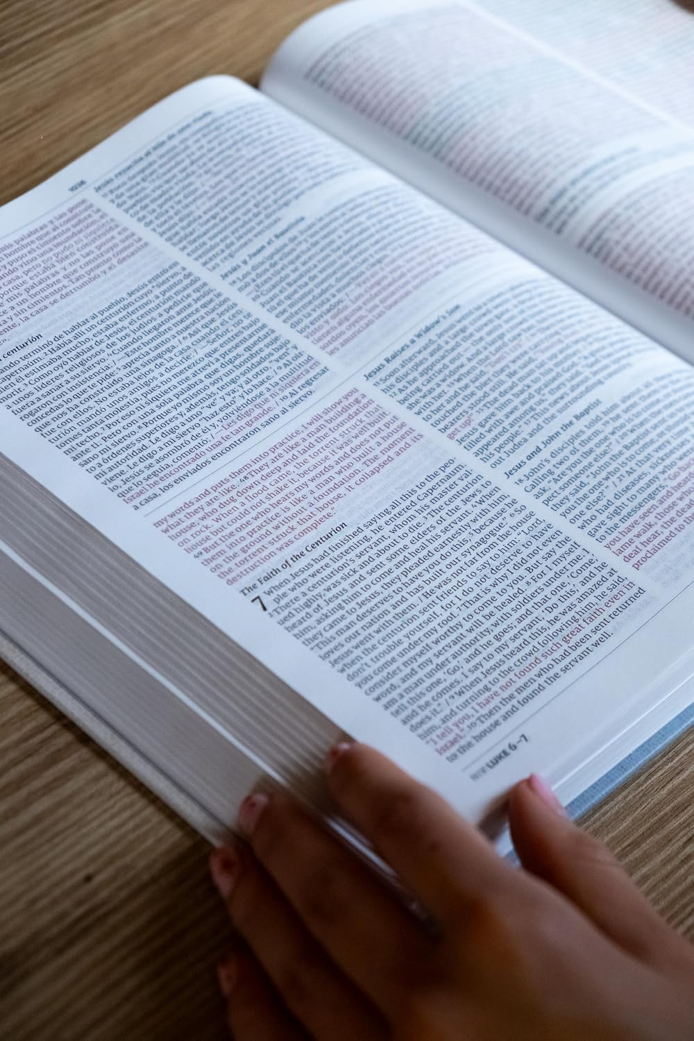 NVI: BIBLIA BILINGUE