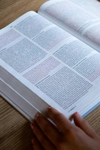 NVI: BIBLIA BILINGUE