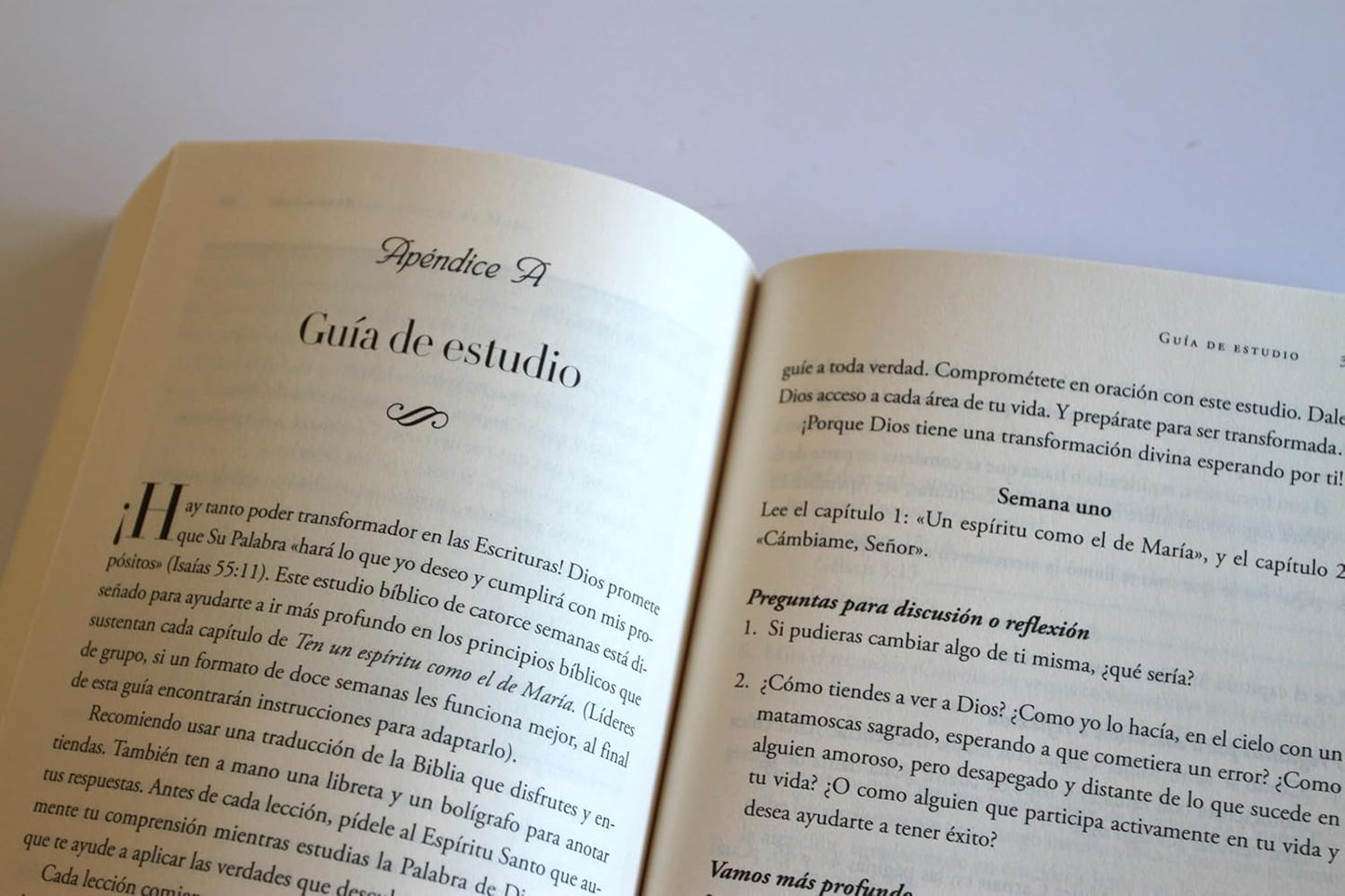 TEN UN ESPÍRITU COMO EL DE MARÍA