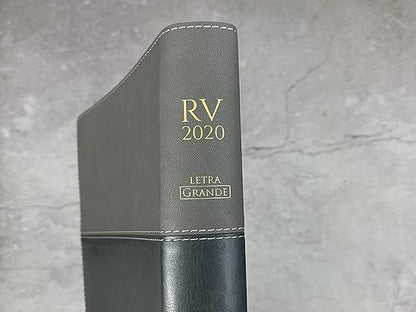 RVR60: SANTA BIBLIA