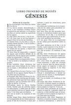 RVR60: SANTA BIBLIA LETRA GRANDE