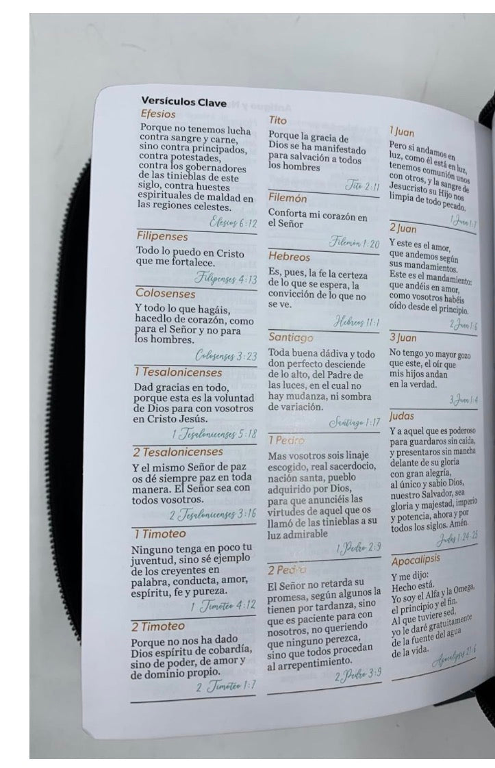 RVR60: SANTA BIBLIA