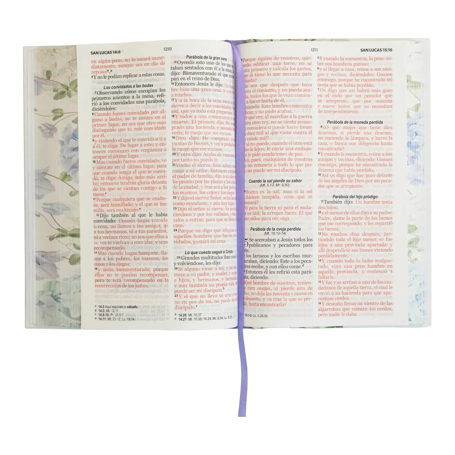 RVR60: SANTA BIBLIA