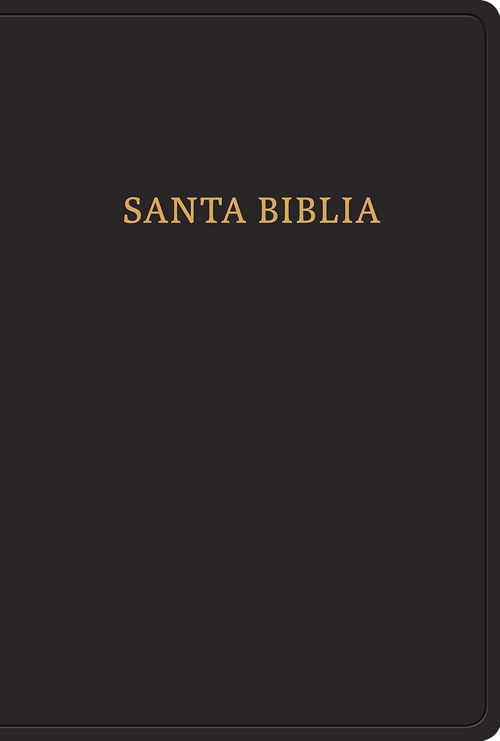 RVR60: BIBLIA LETRA GIGANTE