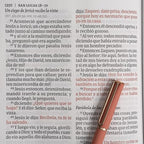 RVR60: SANTA BIBLIA LETRA GIGANTE