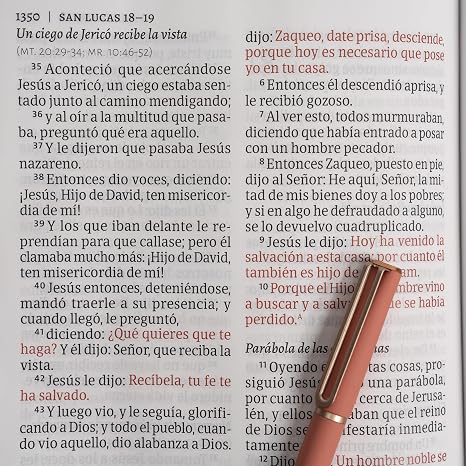 RVR60: SANTA BIBLIA LETRA GIGANTE