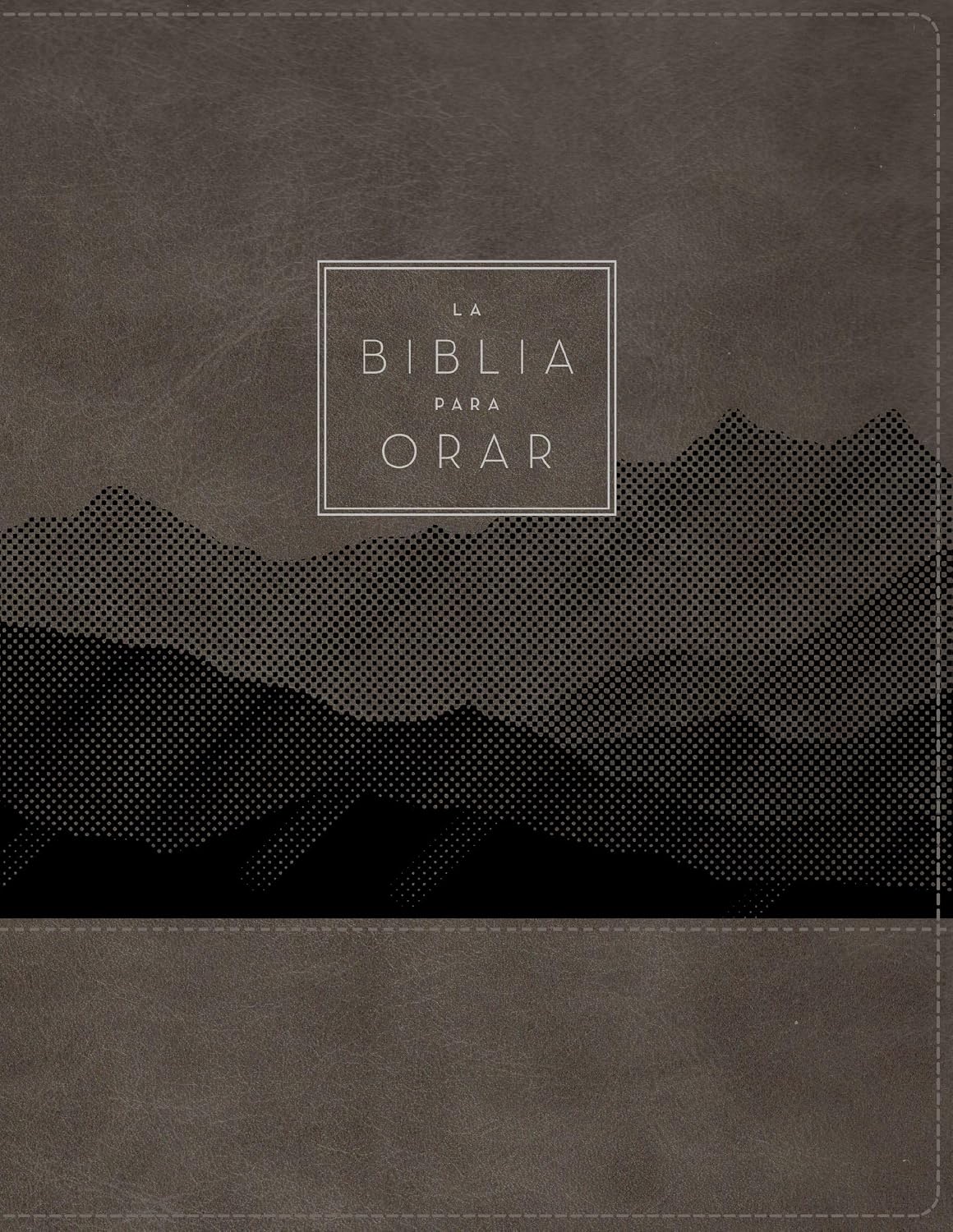RVR60: LA BIBLIA PARA ORAR