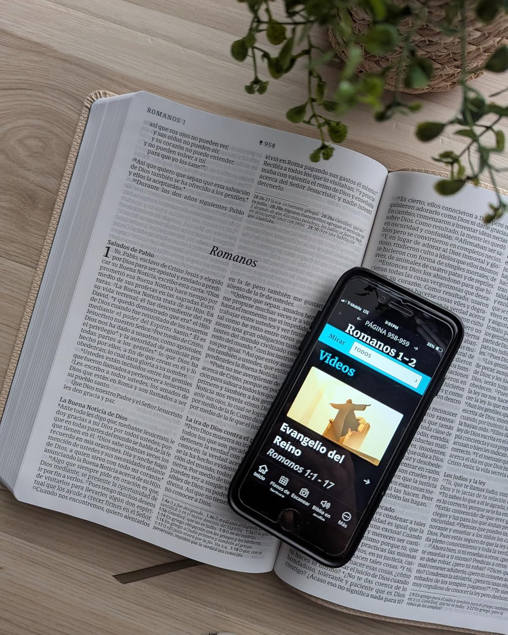 NTV: SANTA BIBLIA