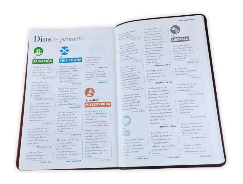 RVR60: SANTA BIBLIA LETRA GRANDE