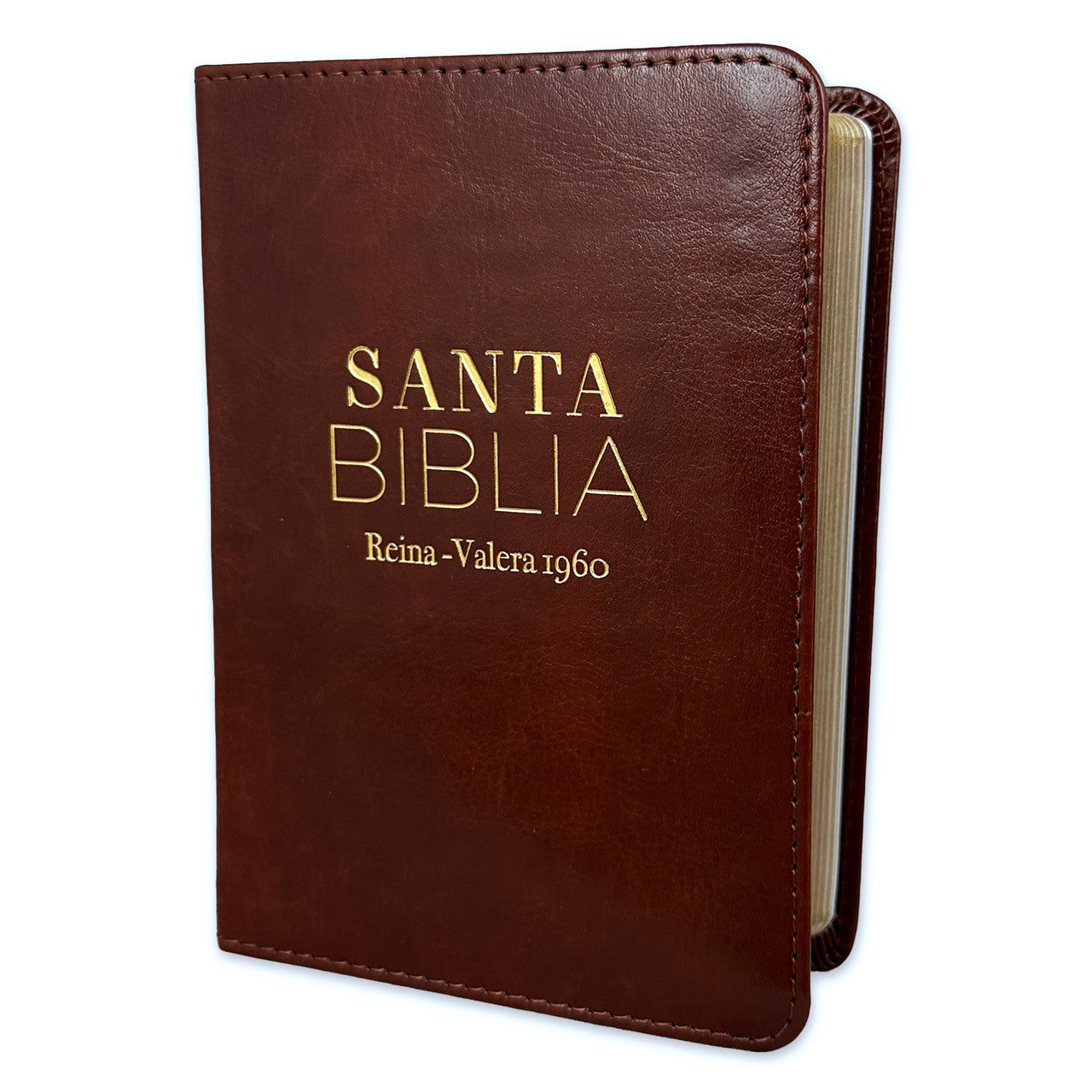 RVR60: SANTA BIBLIA