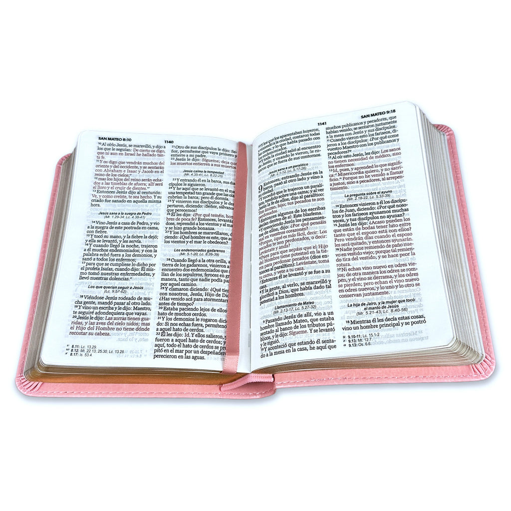 RVR60: SANTA BIBLIA