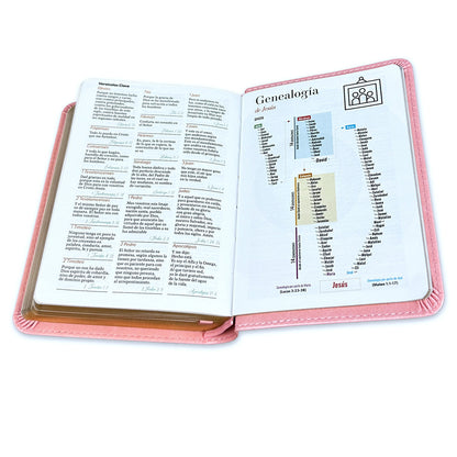 RVR60: SANTA BIBLIA
