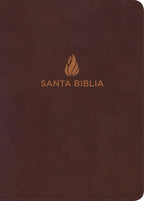 NVI: SANTA BIBLIA LETRA GIGANTE