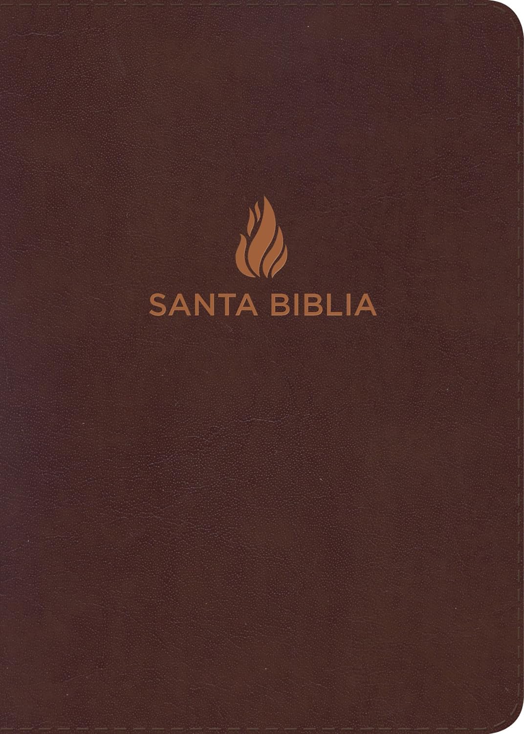 NVI: SANTA BIBLIA LETRA GIGANTE