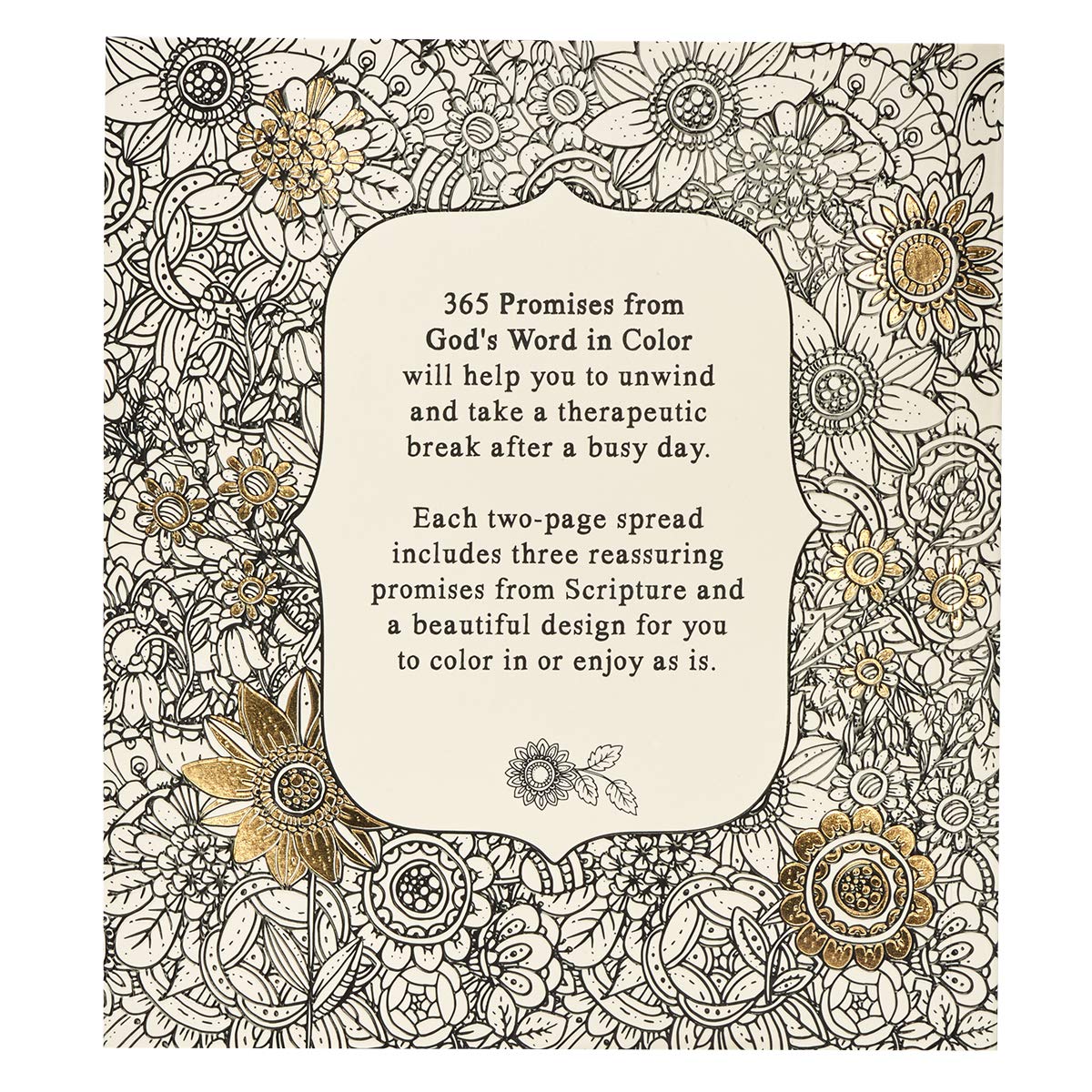 365 PROMISES FROM GOD’S WORD IN COLOR
