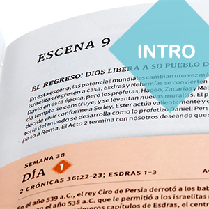 RVR60: BIBLIA CRONOLÓGICA DÍA POR DÍA