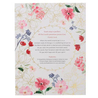 LIBRO DE COLOREAR: COLOR THE PROMISES OF GOD