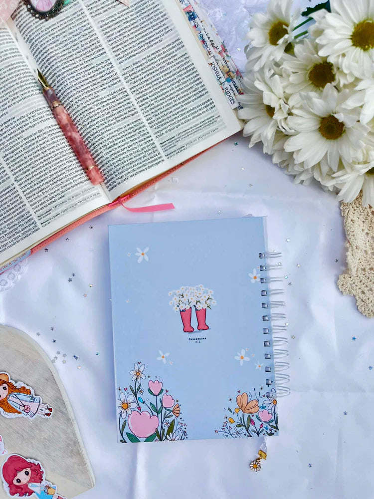 JOURNALS: COLECCIÓN DULCE MUJER