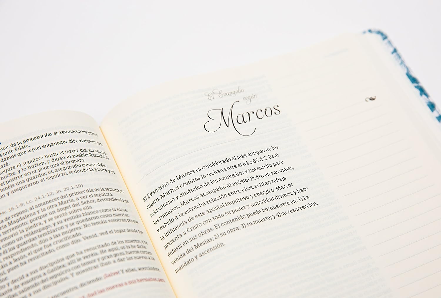 RVR60: BIBLIA DE APUNTES