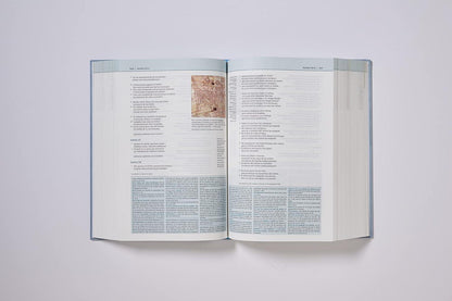 NVI: BIBLIA DE ESTUDIO TEOLOGÍA BÍBLICA