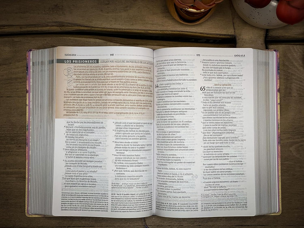NVI: BIBLIA DE ESTUDIO PARA LA MUJER