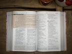 NVI: BIBLIA DE ESTUDIO PARA LA MUJER