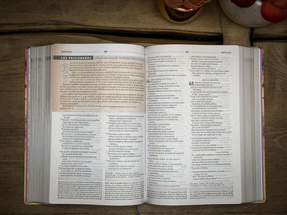 NVI: BIBLIA DE ESTUDIO PARA LA MUJER