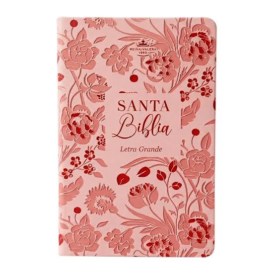 RVR60: SANTA BIBLIA