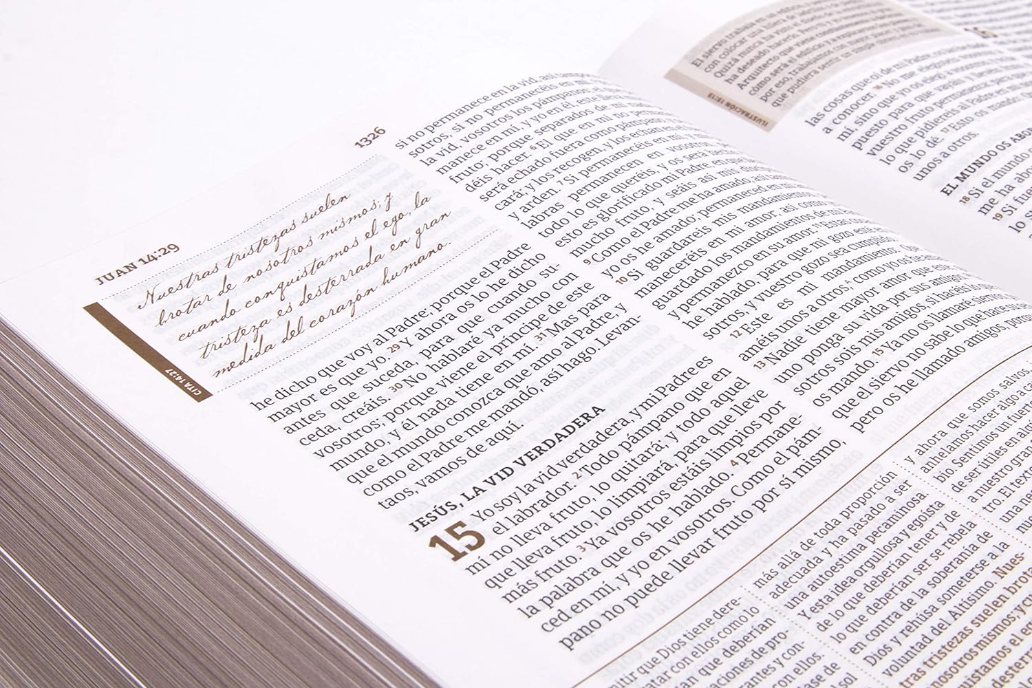 RVR60: BIBLIA DE ESTUDIO SPURGEON