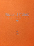 RVR60: BIBLIA DE ESTUDIO TEOLOGICO