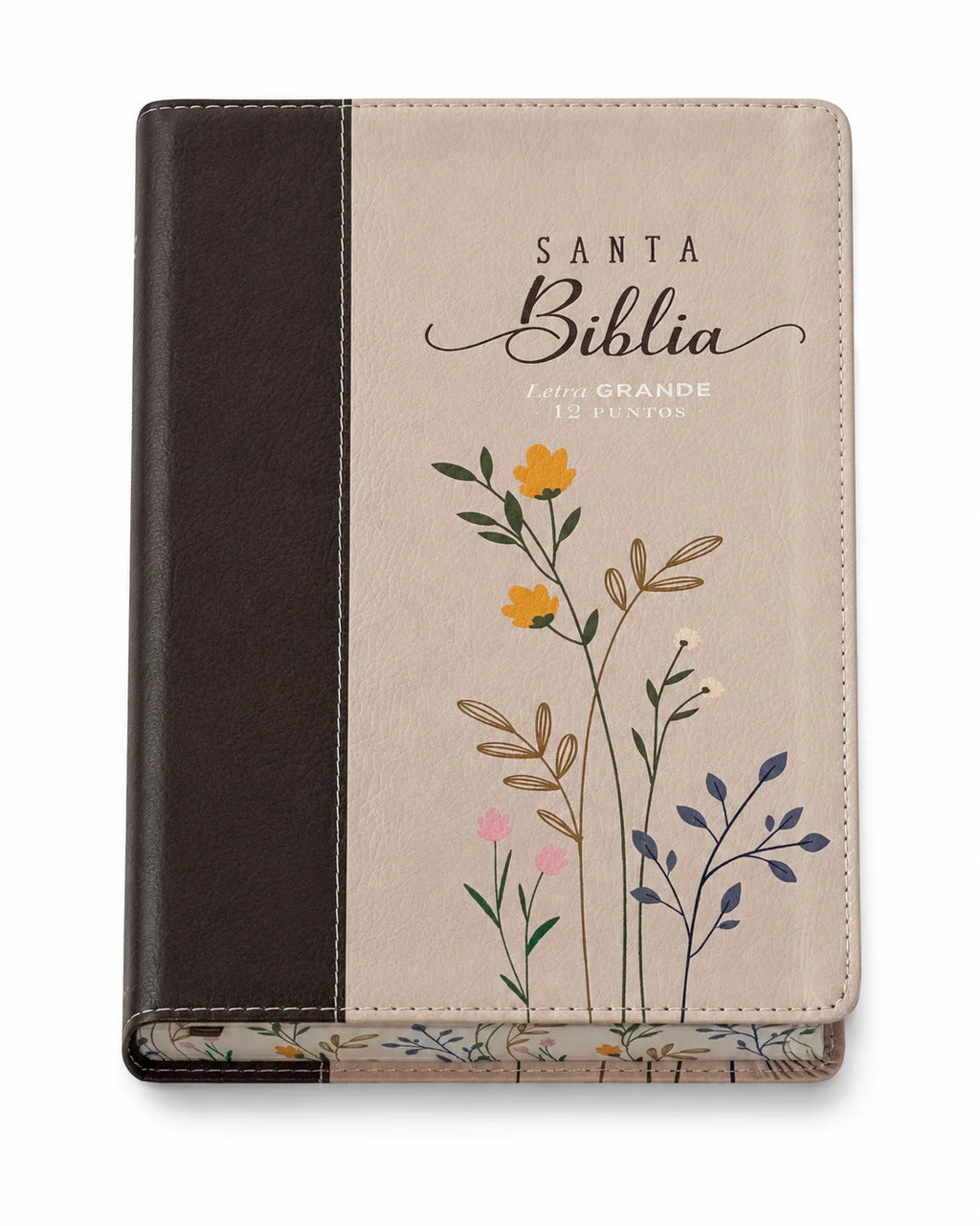 RVR60: SANTA BIBLIA