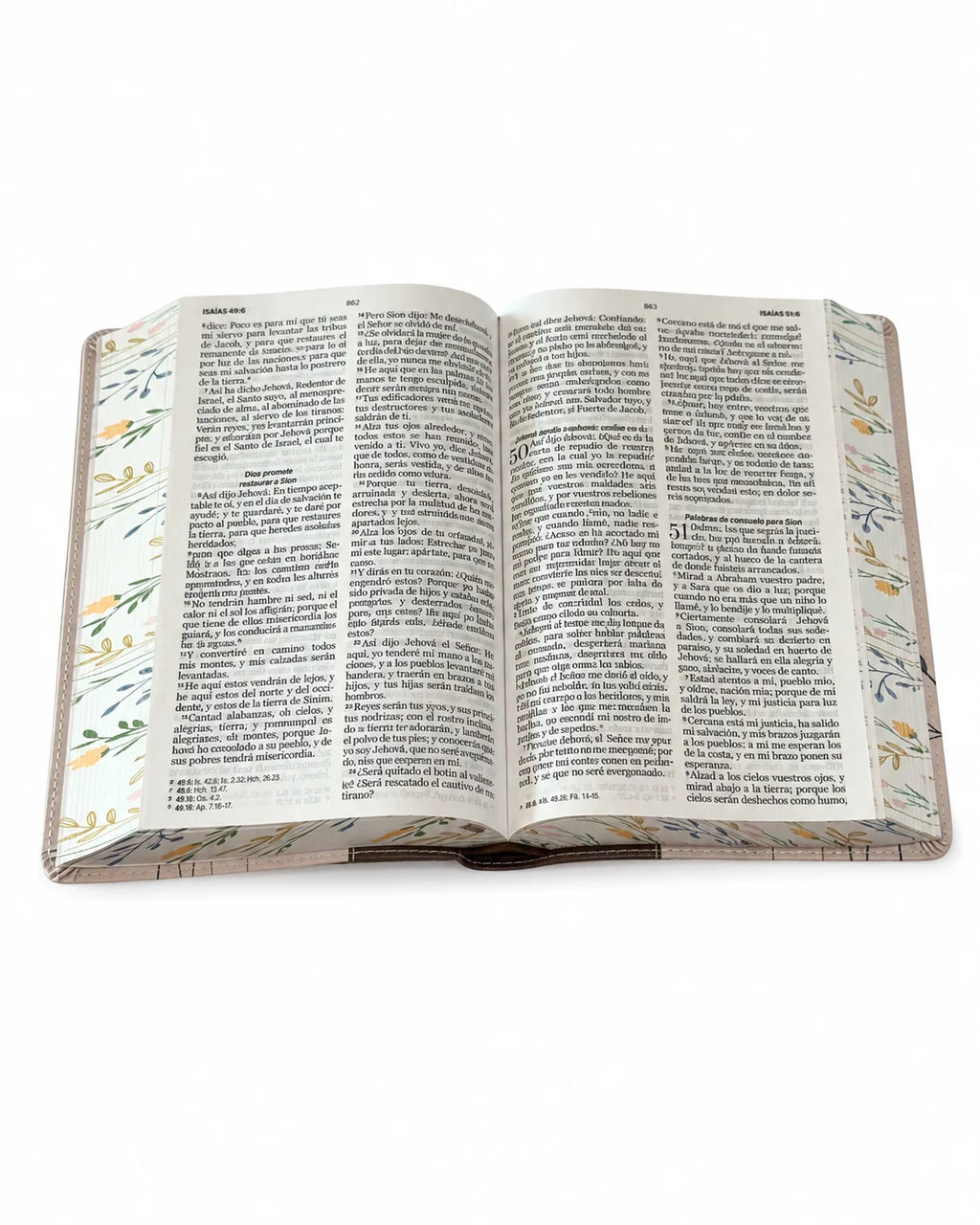 RVR60: SANTA BIBLIA