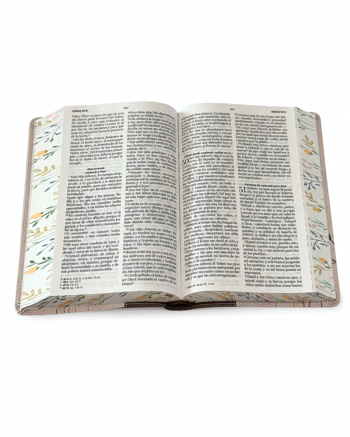 RVR60: SANTA BIBLIA