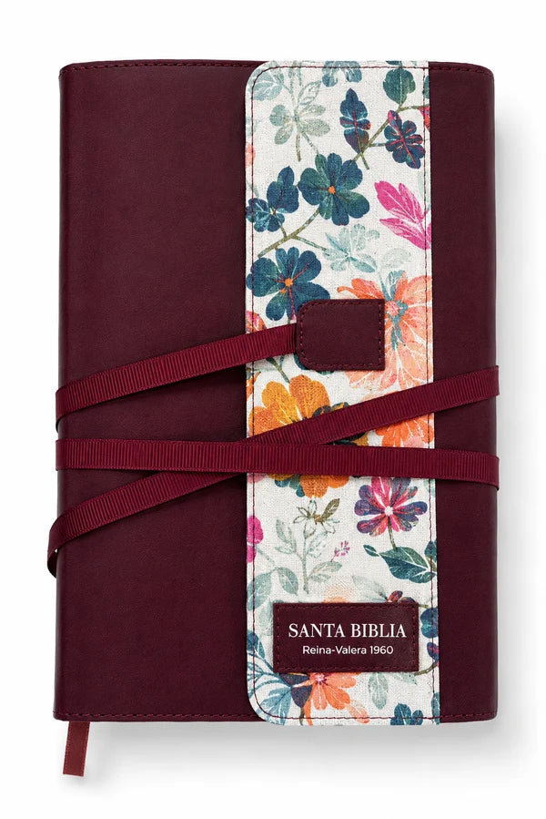 RVR60: SABTA BIBLIA